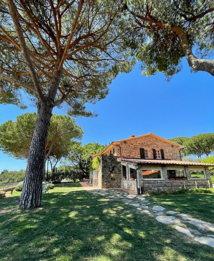 Fattoria Di Magliano Winery Villa Magliano in Toscana Exterior photo