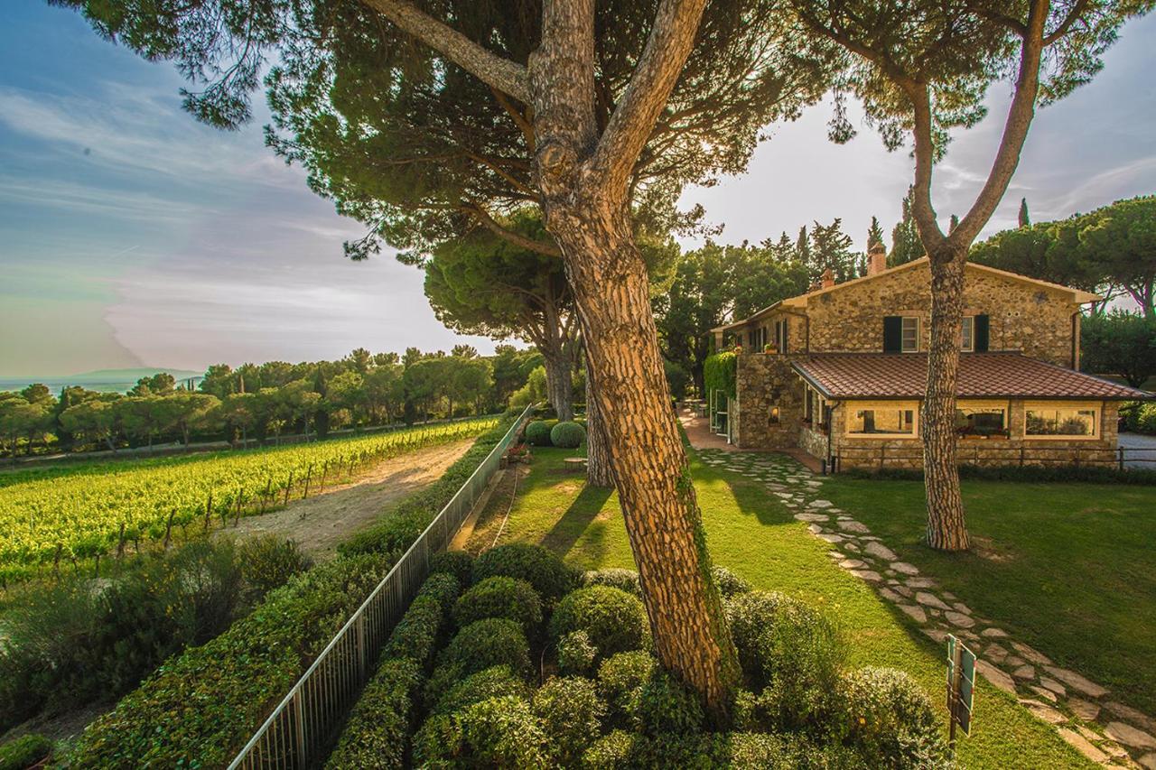 Fattoria Di Magliano Winery Villa Magliano in Toscana Exterior photo