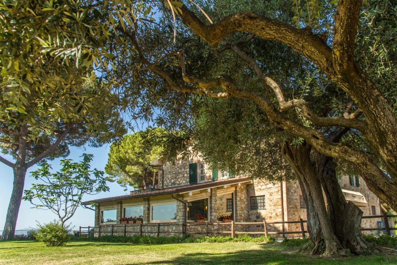 Fattoria Di Magliano Winery Villa Magliano in Toscana Exterior photo