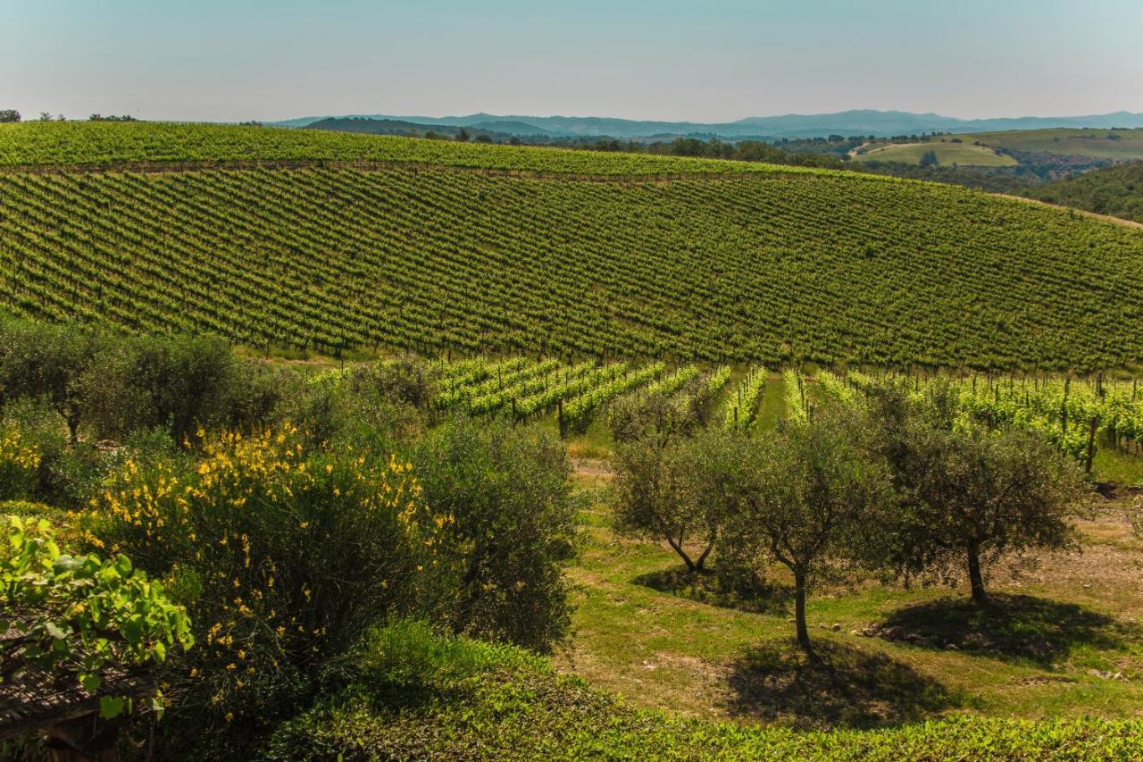 Fattoria Di Magliano Winery Villa Magliano in Toscana Exterior photo