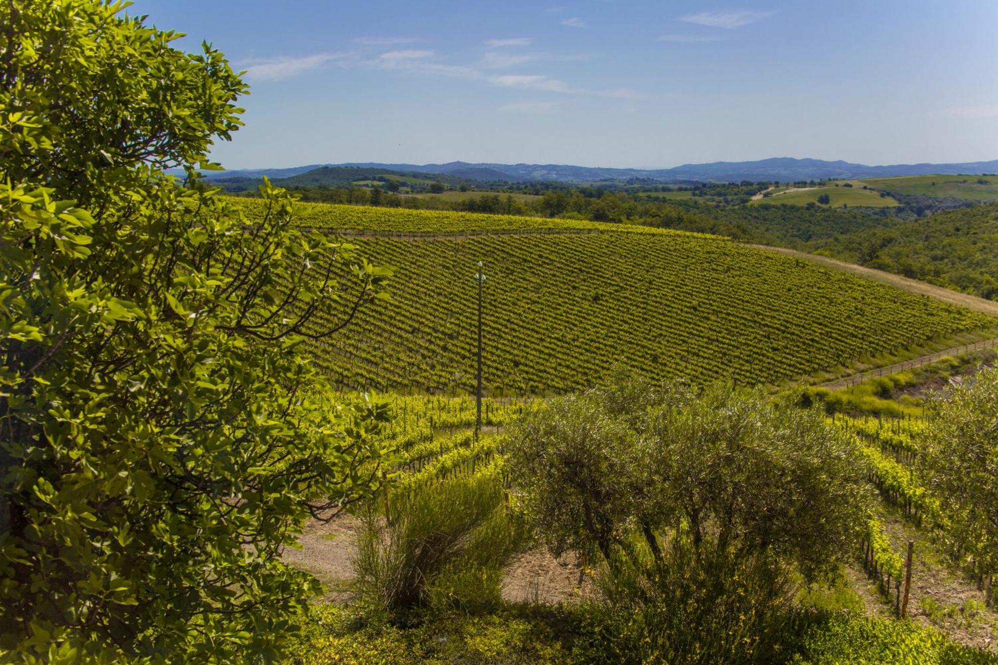 Fattoria Di Magliano Winery Villa Magliano in Toscana Room photo